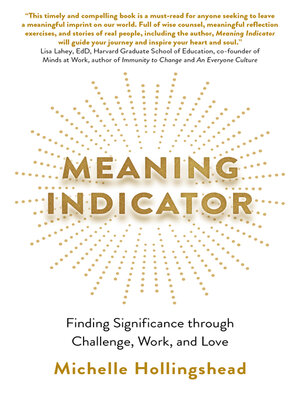 cover image of Meaning Indicator